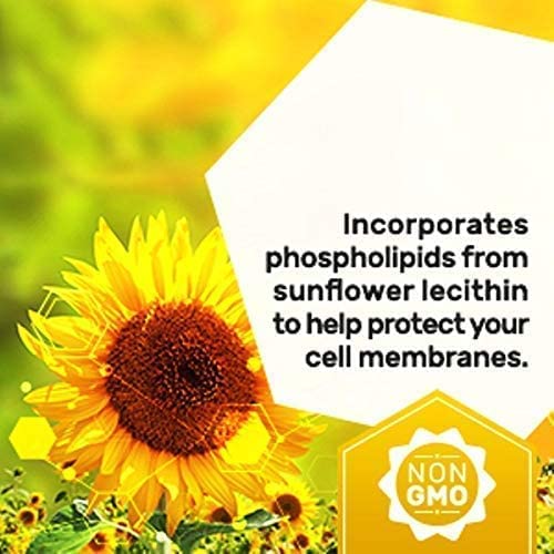 Dr. Mercola Liposomal Vitamin D 1000 IU Capsules, 0.5 Ounce...