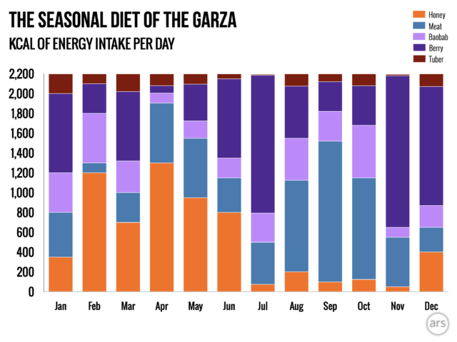 Month-by-month studies show that the Hadza diet varies dramatically through the year. In February, people get most of their calories from honey, in July from berries and in September from meat. Adapted from H. Pontzer and B.M. Wood / AR Nutrition 2021.