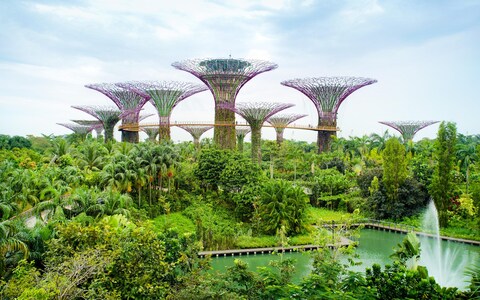 Blue Zone newbie Singapore