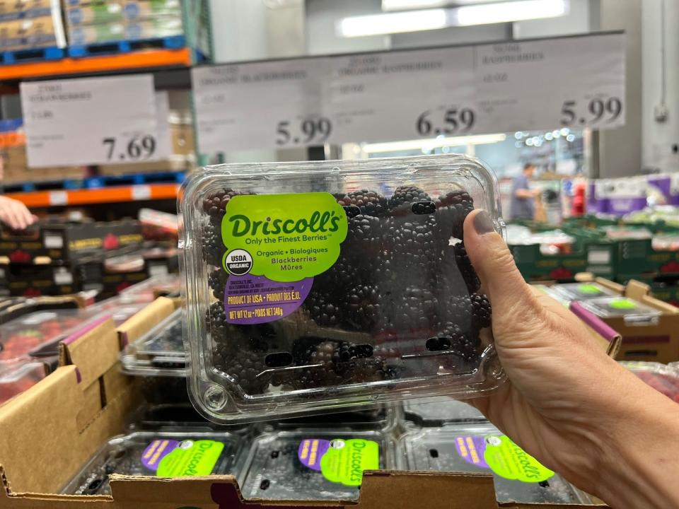 hand holding up a carton of blackberries at costco