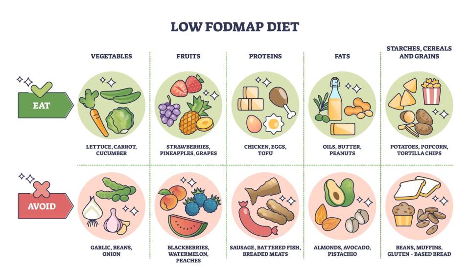 plant based diet ibs