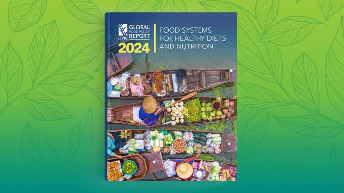 Global Food Policy Report 2024: Food Systems for Healthy Diets and Nutrition