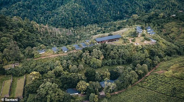Pictured: The jungle-perched Santani lodge in Sri Lanka provides a range of Ayurvedic therapies